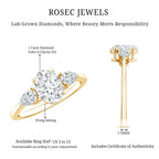 1 Carat Lab Grown Diamond Three Stone Engagement Ring with IGI Certificate