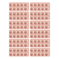 10 Frame Fidgets (Set of 12) - Maven Couture IncEducational Toys