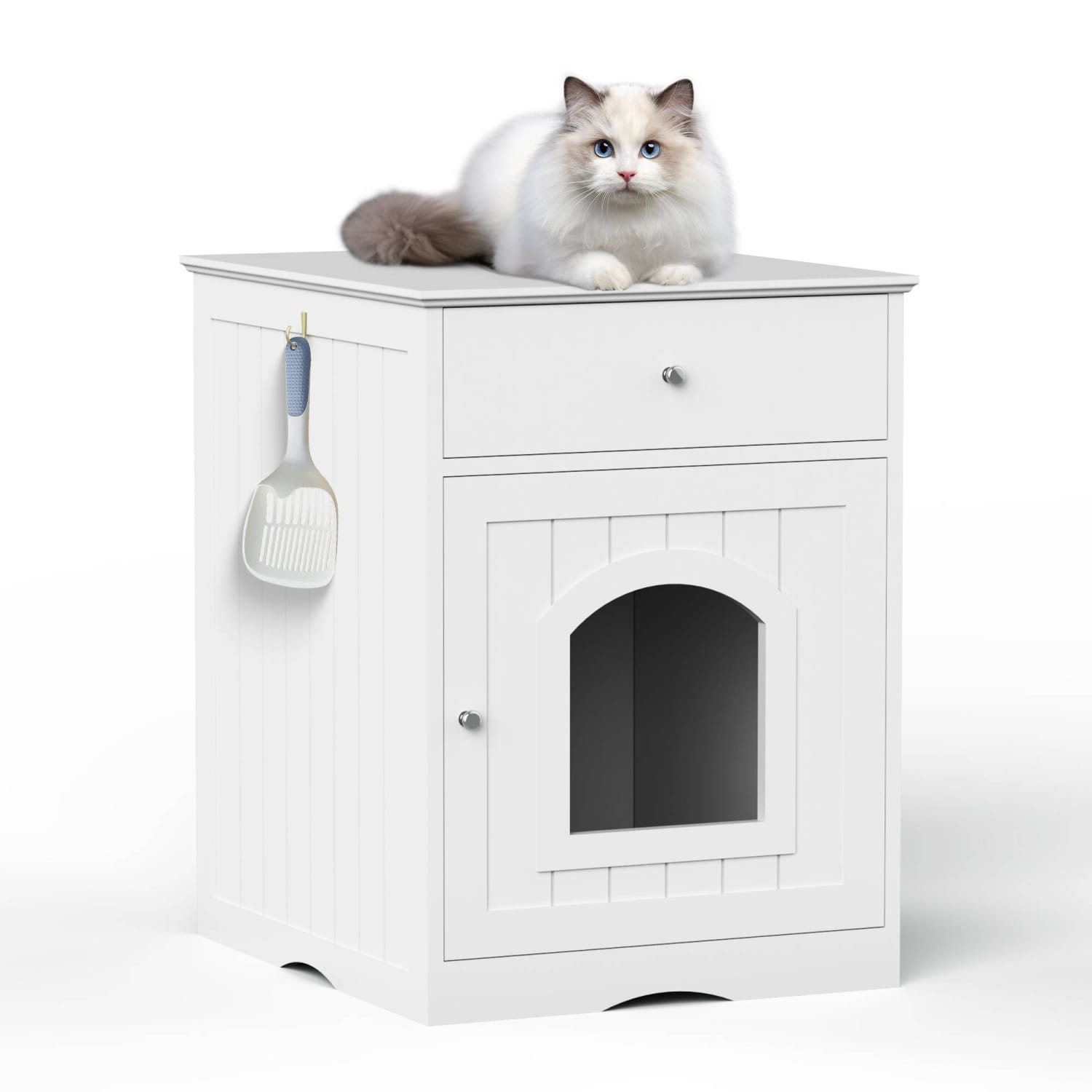 Luxury fashion and exclusive accessories for cats and pets