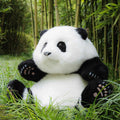 4.6lbs Panda Hehua Handcrafted Plush– Calm Companion Mindful Relax - Maven Couture IncPanda