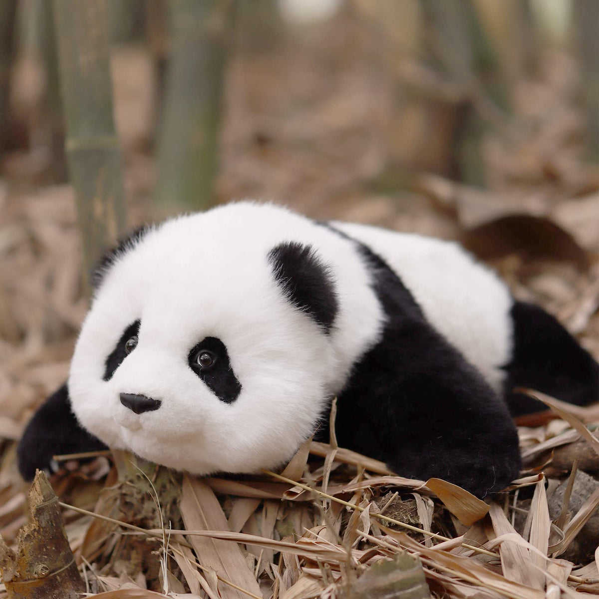 2.5lbs Red Panda ESSA Weighted Stuffed Animal – Snuggle Toy for Relaxation - Maven Couture IncPanda