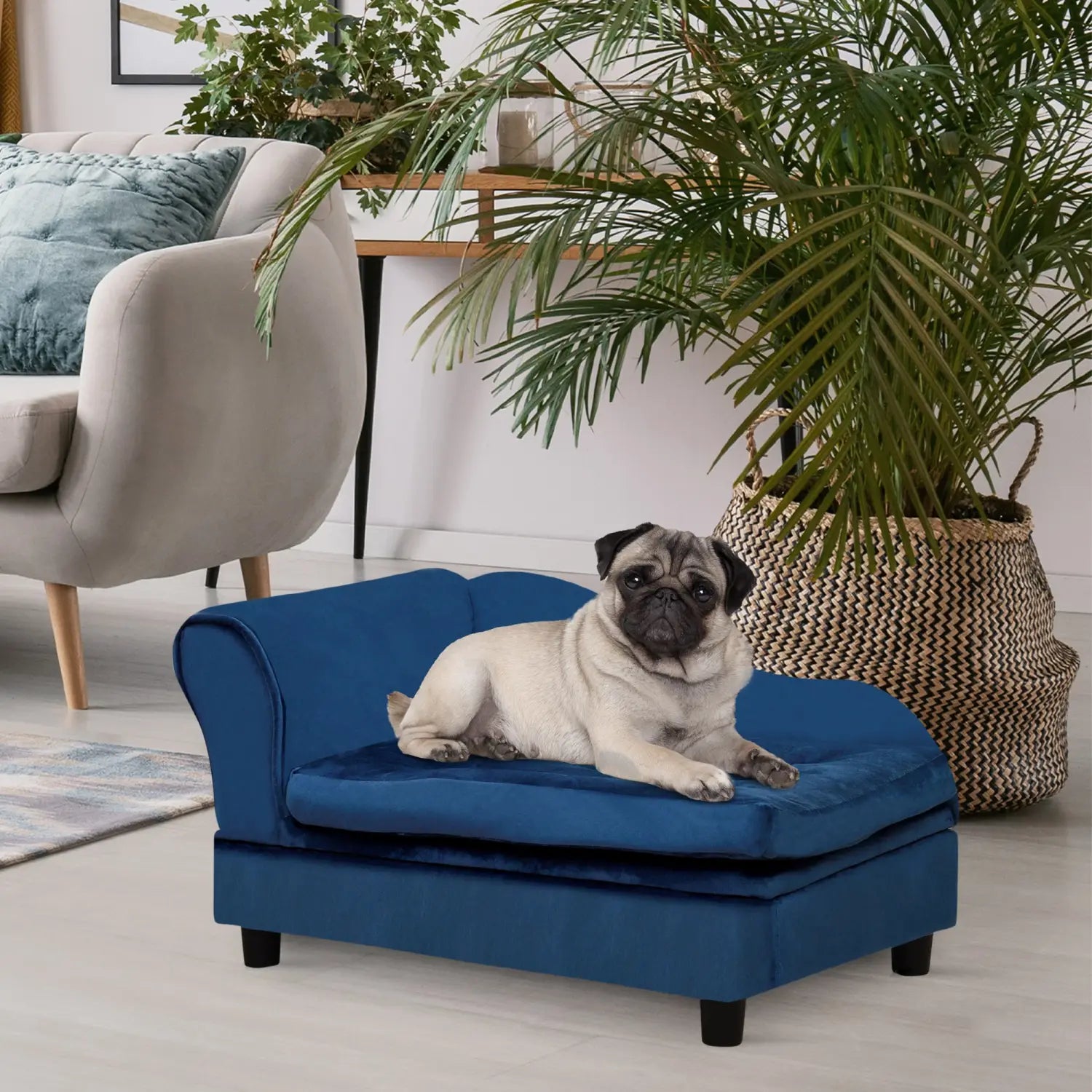 Chic luxury small dog bed with hidden storage for elegant home décor