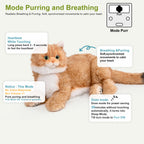 Percy 2.0 Golden British Short Hair Cat- Breathing Heartbeat Pur,Voice Robotic Cat - Maven Couture IncPERCY