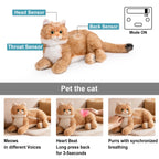 Percy 2.0 Golden British Short Hair Cat- Breathing Heartbeat Pur,Voice Robotic Cat - Maven Couture IncPERCY