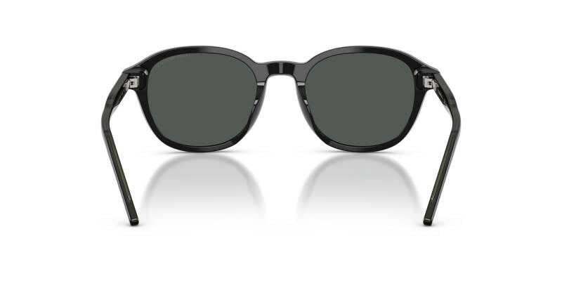 Emporio Armani 0EA4247U Grey Lens Men's Sunglasses 51mm - Maven Couture IncOther